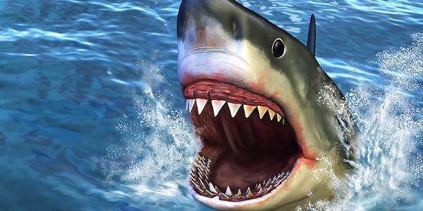 5 Reasons Why a Shark Would Not Make a Good Speech-Language Pathologist