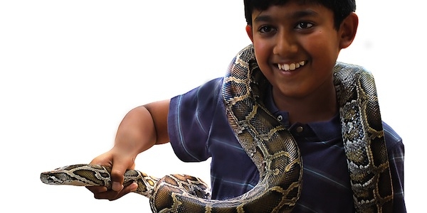 5 Reasons Why Having a Real Snake in Speech Therapy Would Be Awesome